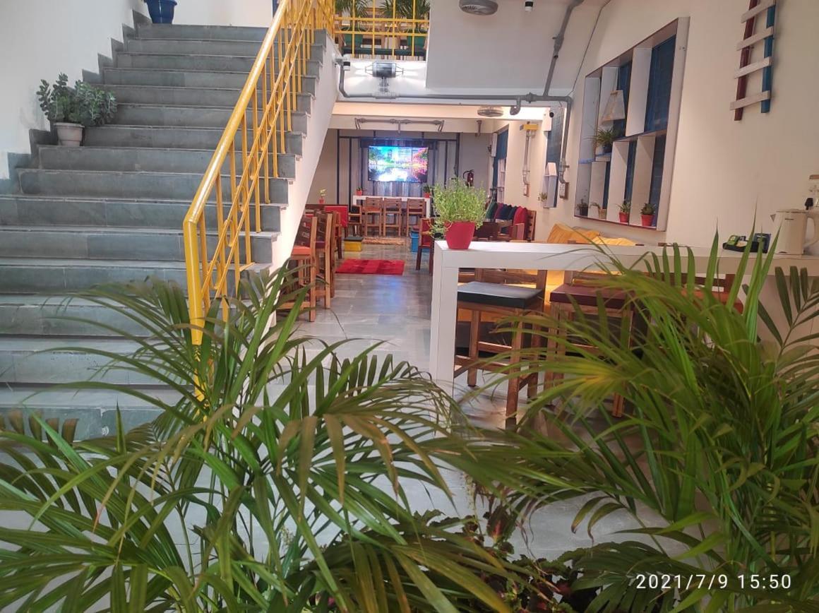 Home In The City Indira Nagar1 Dehradun Exterior photo
